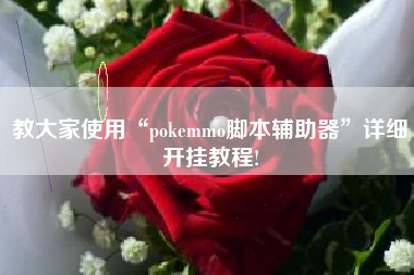 教大家使用“pokemmo脚本辅助器”详细开挂教程!