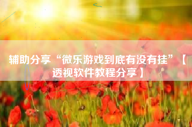 辅助分享“微乐游戏到底有没有挂”【透视软件教程分享】