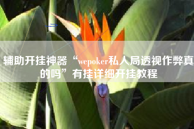 辅助开挂神器“wepoker私人局透视作弊真的吗”有挂详细开挂教程