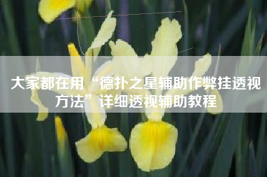 大家都在用“德扑之星辅助作弊挂透视方法”详细透视辅助教程