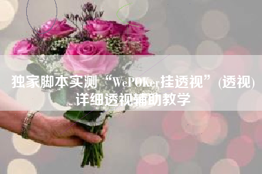 独家脚本实测“WePOKer挂透视”(透视)详细透视辅助教学