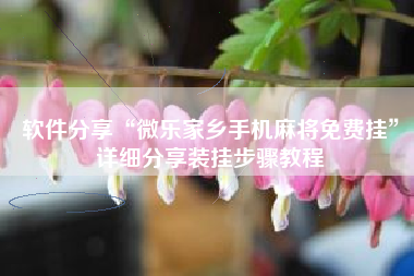 软件分享“微乐家乡手机麻将免费挂”详细分享装挂步骤教程