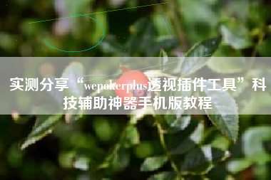 实测分享“wepokerplus透视插件工具	”科技辅助神器手机版教程