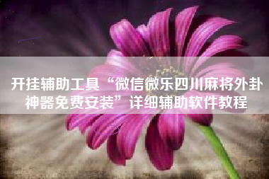 开挂辅助工具“微信微乐四川麻将外卦神器免费安装”详细辅助软件教程