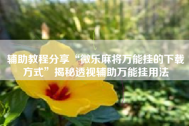 辅助教程分享“微乐麻将万能挂的下载方式”揭秘透视辅助万能挂用法