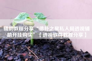 辅助教程分享“德扑之星私人局透视辅助开挂购买”【透视软件教程分享】