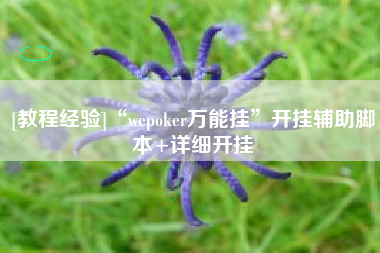 [教程经验]“wepoker万能挂	”开挂辅助脚本+详细开挂