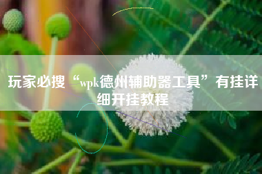 玩家必搜“wpk德州辅助器工具	”有挂详细开挂教程