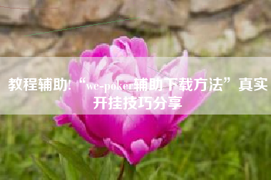 教程辅助!“we-poker辅助下载方法	”真实开挂技巧分享