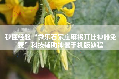 秒懂经验“微乐石家庄麻将开挂神器免费”科技辅助神器手机版教程