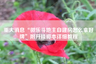 重大消息“微乐斗地主自建房怎么拿好牌	”附开挂脚本详细教程