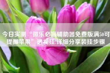 今日实测“微乐必赢辅助器免费版满50可提微苹果	”透视挂!详细分享装挂步骤