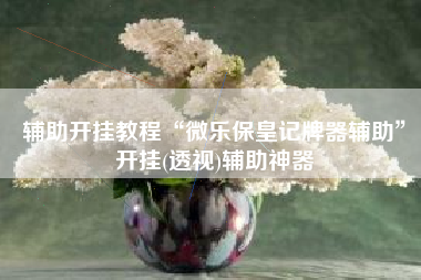 辅助开挂教程“微乐保皇记牌器辅助”开挂(透视)辅助神器