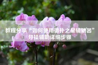 教程分享“如何使用德扑之星辅助器”开挂辅助详细步骤