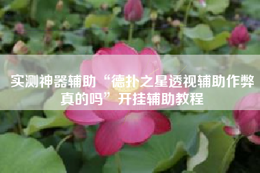 实测神器辅助“德扑之星透视辅助作弊真的吗”开挂辅助教程