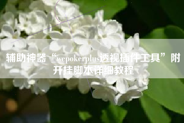 辅助神器“wepokerplus透视插件工具	”附开挂脚本详细教程