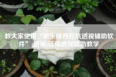 教大家使用“微乐陕西挖坑透视辅助软件”(透视)详细透视辅助教学