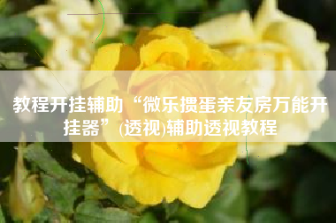 教程开挂辅助“微乐掼蛋亲友房万能开挂器”(透视)辅助透视教程