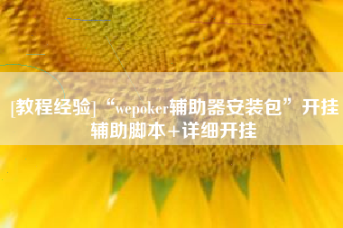 [教程经验]“wepoker辅助器安装包	”开挂辅助脚本+详细开挂