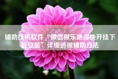 辅助挂机软件“微信微乐跑得快开挂下载安装”详细透视辅助方法