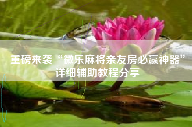 重磅来袭“微乐麻将亲友房必赢神器”详细辅助教程分享