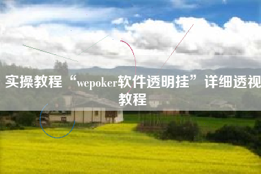 实操教程“wepoker软件透明挂”详细透视教程