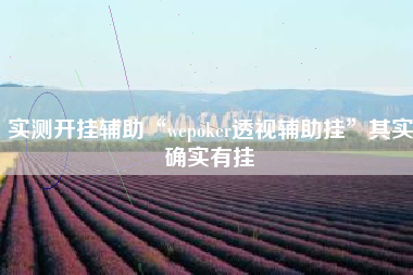 实测开挂辅助“wepoker透视辅助挂”其实确实有挂