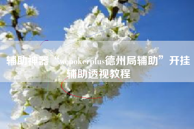 辅助神器“wepokerplus德州局辅助”开挂辅助透视教程