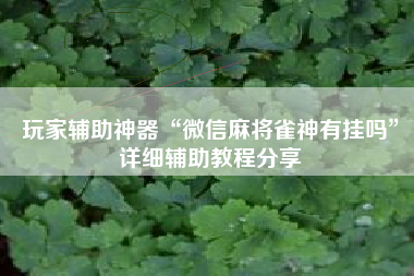 玩家辅助神器“微信麻将雀神有挂吗	”详细辅助教程分享