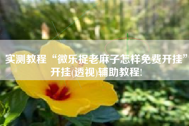 实测教程“微乐捉老麻子怎样免费开挂	”开挂(透视)辅助教程!