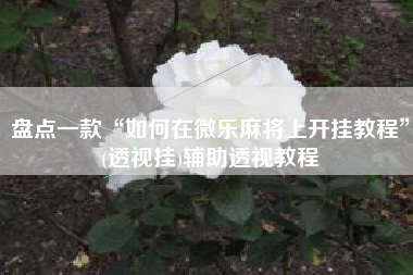盘点一款“如何在微乐麻将上开挂教程”(透视挂)辅助透视教程