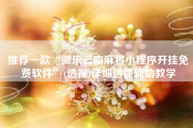 推荐一款“微乐云南麻将小程序开挂免费软件”(透视)详细透视辅助教学