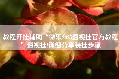 教程开挂辅助“微乐2025透视挂官方教程	”透视挂!详细分享装挂步骤