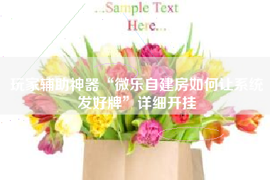 玩家辅助神器“微乐自建房如何让系统发好牌”详细开挂