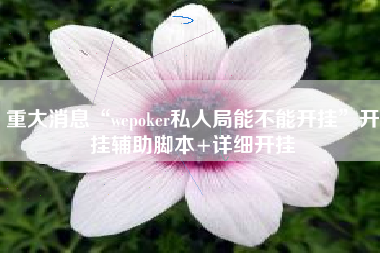 重大消息“wepoker私人局能不能开挂	”开挂辅助脚本+详细开挂