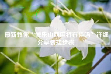 最新教你“微乐山西麻将有挂吗”详细分享装挂步骤!