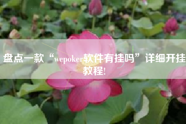 盘点一款“wepoker软件有挂吗	”详细开挂教程!