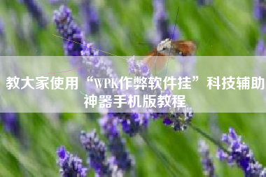 教大家使用“WPK作弊软件挂”科技辅助神器手机版教程
