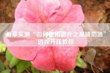 分享实测“如何使用德扑之星辅助器	”透视开挂教程