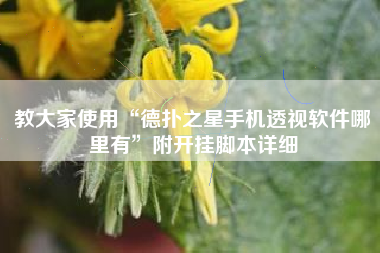 教大家使用“德扑之星手机透视软件哪里有”附开挂脚本详细