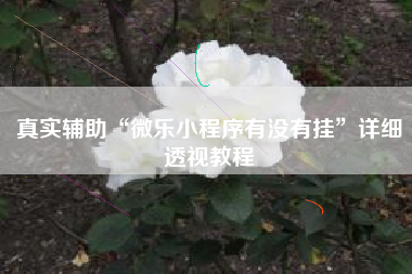 真实辅助“微乐小程序有没有挂”详细透视教程