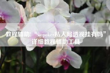 教程辅助!“wepoker私人局透视挂有吗”详细教程辅助工具