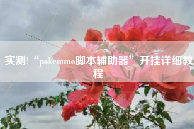 实测!“pokemmo脚本辅助器”开挂详细教程