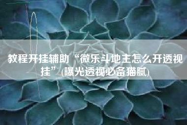 教程开挂辅助“微乐斗地主怎么开透视挂	”(曝光透视必备猫腻)