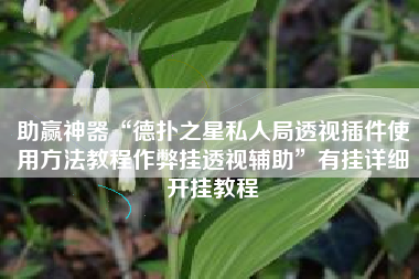 助赢神器“德扑之星私人局透视插件使用方法教程作弊挂透视辅助”有挂详细开挂教程