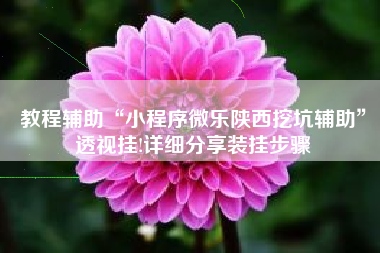 教程辅助“小程序微乐陕西挖坑辅助”透视挂!详细分享装挂步骤