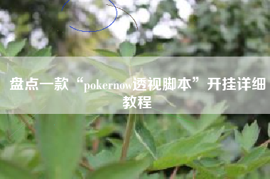 盘点一款“pokernow透视脚本”开挂详细教程