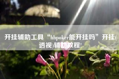 开挂辅助工具“hhpoker能开挂吗	”开挂(透视)辅助教程!