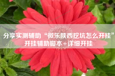 分享实测辅助“微乐陕西挖坑怎么开挂	”开挂辅助脚本+详细开挂