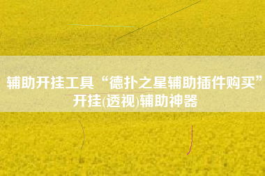 辅助开挂工具“德扑之星辅助插件购买”开挂(透视)辅助神器